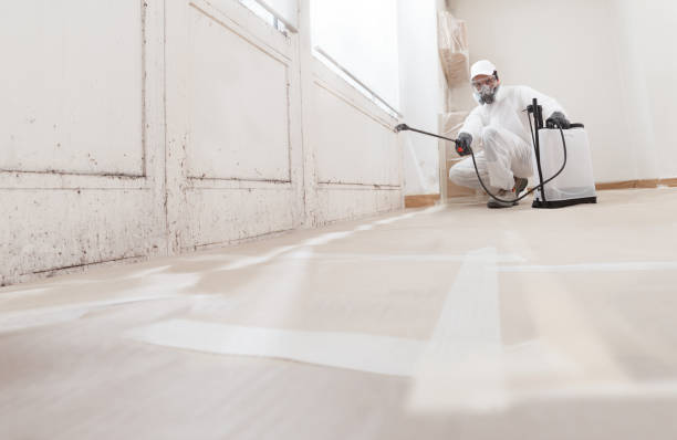 24/7 Emergency Mold Inspection experts in Maynard, MA